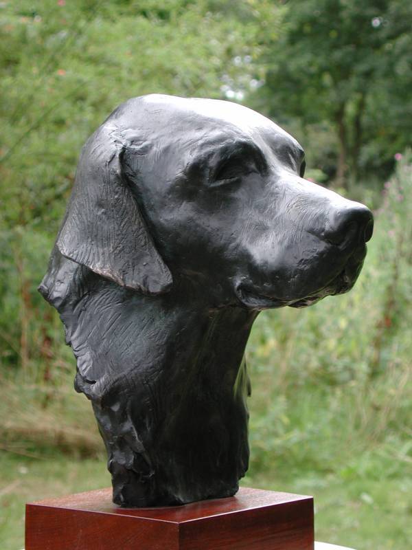 Bronze bust of a labrador retriever