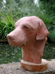 The same bust of a Labrador in terra cotta plaster - Click to see large bronze version